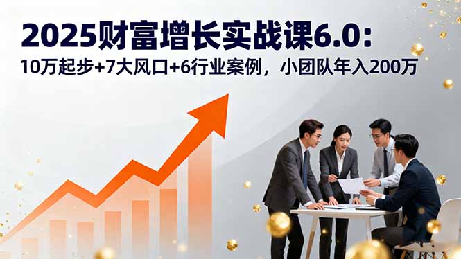 2025财富增长实战课6.0：10万起步+7大风口+6行业案例，小团队年入200万-旺仔资源库