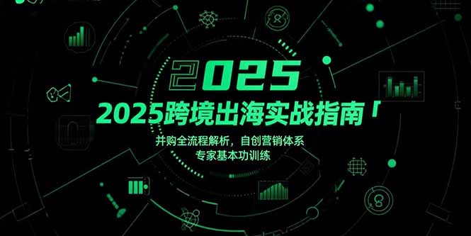 2025跨境出海实战指南，并购全流程解析，自创营销体系，专家基本功训练-旺仔资源库