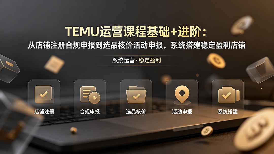 TEMU运营课程(基础+进阶-旺仔资源库