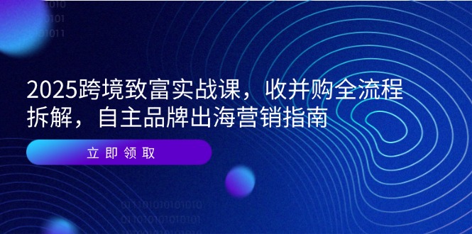 2025跨境致富实战课，收并购全流程拆解，自主品牌出海营销指南-旺仔资源库