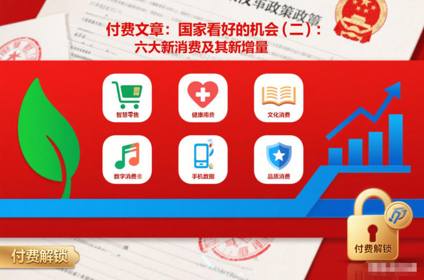 付费文章：国家看好的机会(二)：六大新消费及其新增量-旺仔资源库