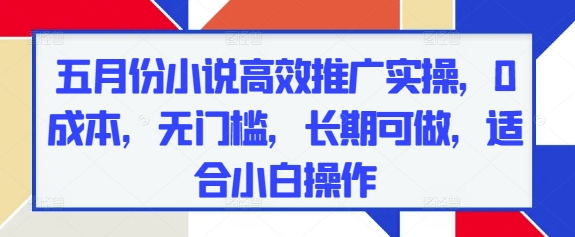五月份小说高效推广实操，0成本，无门槛，长期可做，适合小白操作-旺仔资源库