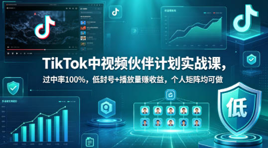 TikTok中视频伙伴计划实战课，过中率100%，低封号+播放量賺收益，个人矩阵均可做-旺仔资源库