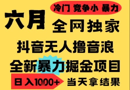 25年6月高爆抖音无人直播最新撸音浪掘金项目，小白可做，无脑日入1k+，门槛低可批量矩阵【揭秘】-旺仔资源库