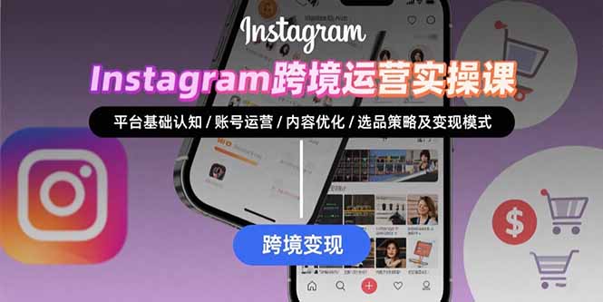 Instagram跨境运营实战：平台认知/账号运营/内容优化/选品策略及变现模式-旺仔资源库