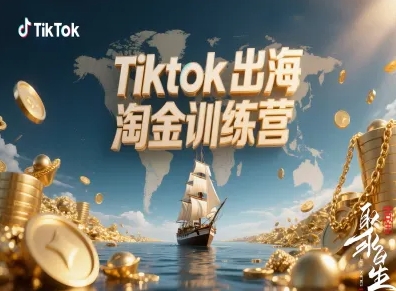 Tiktok出海淘金训练营，跨境电商TK实战变现-旺仔资源库
