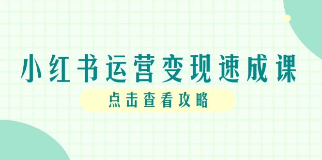 小红书运营变现速成课，账号搭建到暴力起号，个人IP全流程指南-旺仔资源库
