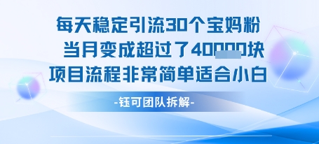 每天稳定引流30个人 当月变成超过了4个W项目流程非常简单适合小白-旺仔资源库