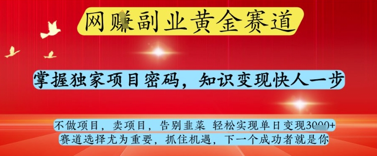 网创副业黄全赛道，掌握独家项目密码，知识变现快人一步，告别韭菜轻松实现单日变现1k+【揭秘】-旺仔资源库