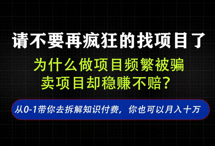 找项目?别傻了!卖项目才是真的一本万利!看完你全都懂了【揭秘】-旺仔资源库