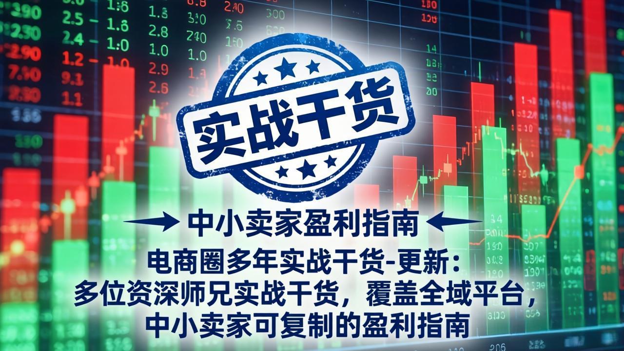 电商圈多年实战干货-更新5月10：多位资深师兄实战干货/覆盖全域平台，中小卖家可复制的盈利指南-旺仔资源库