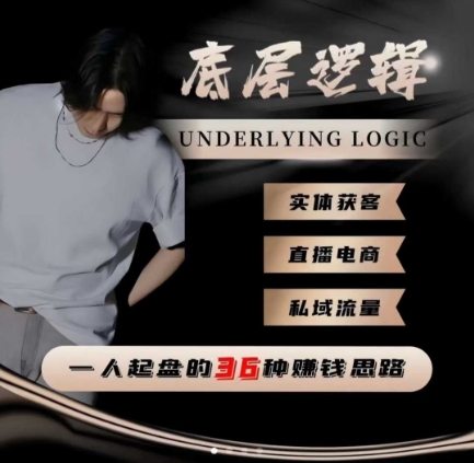 一个人起盘的底层逻辑,私域流量-直播电商-实体获客,一人起盘的36种賺钱思路-旺仔资源库