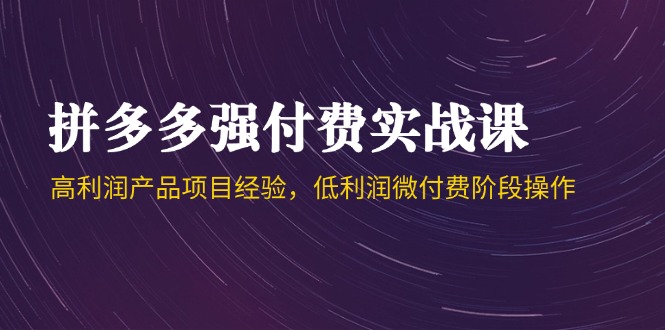 拼多多强付费实战课-44期，高利润产品项目经验，低利润微付费阶段操作-旺仔资源库
