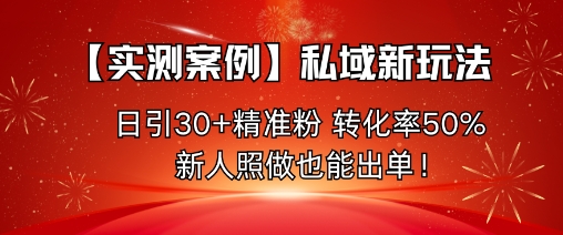 【实测案例】私域新玩法，日引30+精准粉，转化率50%，新人照做也能出单！-旺仔资源库