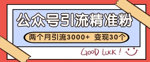 公众号精准粉引流玩法，2个月3000+精准粉，变现30个W【揭秘】-旺仔资源库