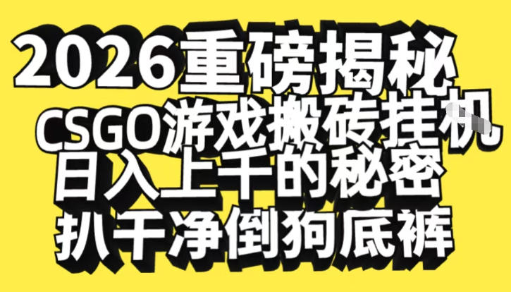 2026开年重磅解密，CSGO游戏搬砖挂G日入1k+的秘密，把倒狗的底裤扒干【揭秘】-旺仔资源库