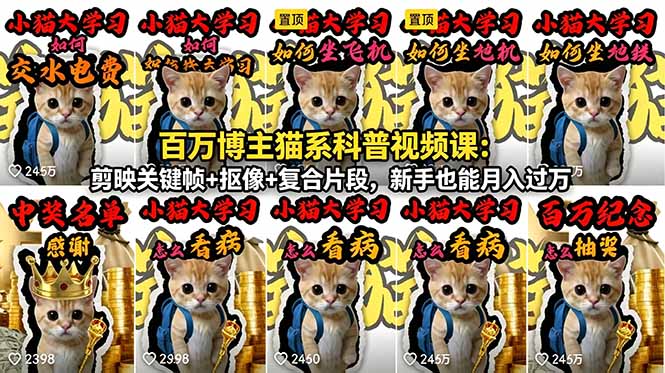 百万博主猫系科普视频课：剪映关键帧+抠像+复合片段，新手也能月入过万-旺仔资源库