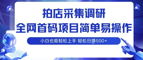 拍店采集调研，全网首码项目，简单易操作， 小白也能轻松上手，多账号操作，轻松日入5张【揭秘】-旺仔资源库