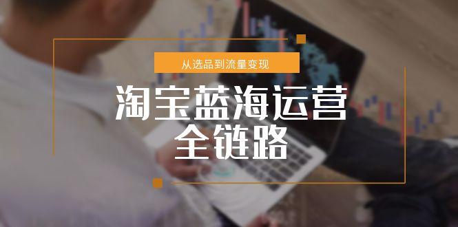 淘宝蓝海运营全链路，从选品到流量变现，小类目突围完整方案-旺仔资源库