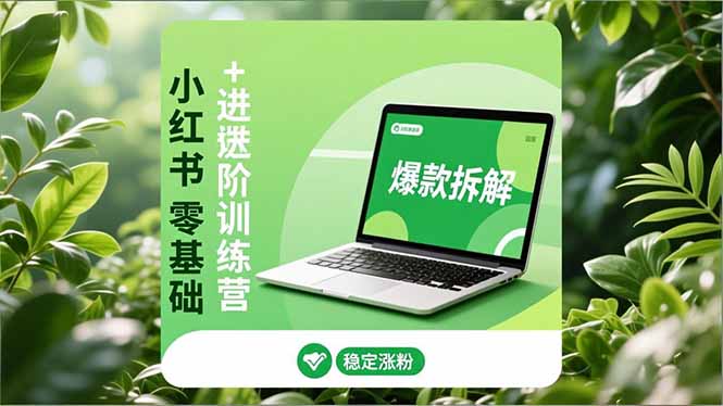 小红书零基础+高阶训练营:安全养号、爆款拆解、长效运营,实现稳定涨粉与变现-旺仔资源库