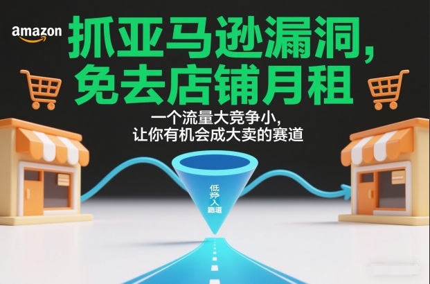 抓亚马逊漏洞,免去店铺月租,一个流量大竞争小,让你有机会成大卖的赛道-旺仔资源库