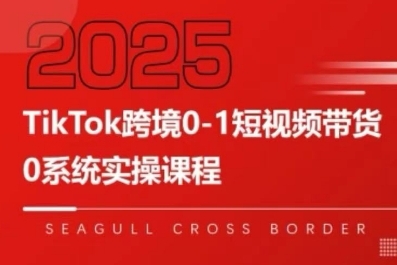 TikTok跨境0-1短视频带货，系统拆解TikTok跨境带货全链路，实现跨境可持续盈利-旺仔资源库