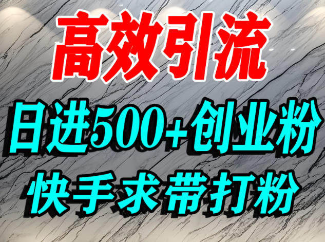 怎么打创业粉？快手求带视角精准引流创业粉，宝妈、学生群体日进500+精准流量-旺仔资源库