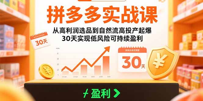 拼多多实战课：从高利润选品到自然流高投产起爆 30天实现低风险可持续盈利-旺仔资源库