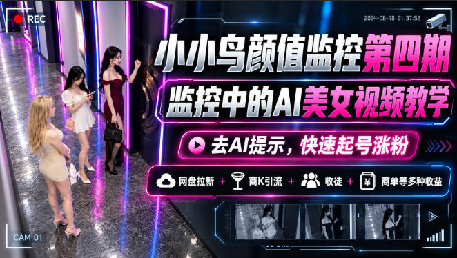小小鸟颜值监控第四期,监控中的AI美女视频教学,去AI提示,快速起号涨粉,网盘拉新+商K引流+收徒+商单等多种收益-旺仔资源库