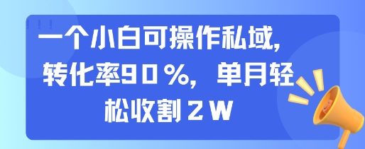 一个小白可操作私域，转化率90%，单月轻松收割2W-旺仔资源库