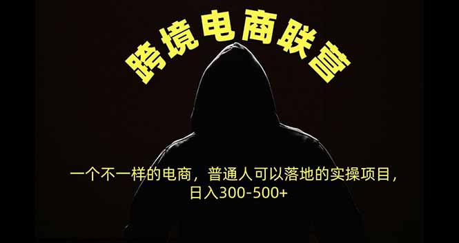 跨境电商联营，一个不一样的电商，普通人可操作日入300-500+-旺仔资源库