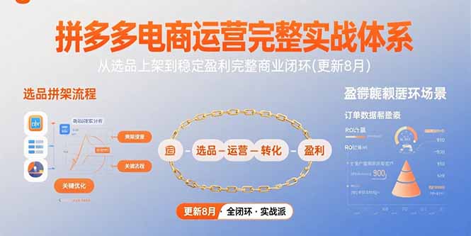 拼多多电商运营完整实战体系，从选品上架到稳定盈利完整商业闭环(更新8月-旺仔资源库