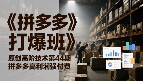 《拼多多打爆班》原创高阶技术第44期，拼多多高利润强付费-旺仔资源库