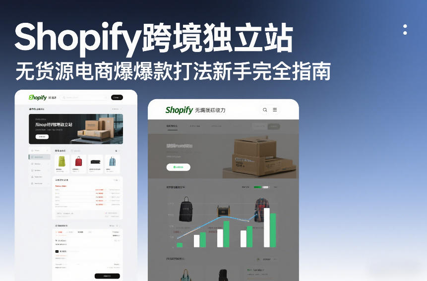 Shopify跨境独立站无货源电商爆款打法新手完全指南-旺仔资源库