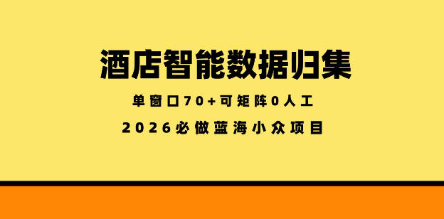 酒店智能数据归集,小众蓝海已经稳定半年之久,单窗口70+零成本矩阵开干【揭秘】-旺仔资源库