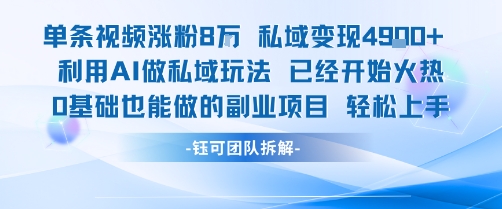 单条视频私域变现4.9k+利用AI做私域玩法 已经开始火热0基础也能做的副业项目轻松上手-旺仔资源库