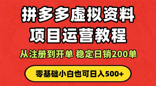 拼多多开店运营课程： 蓝海变现玩法，轻松实现睡后收入 零基础小白也可…-旺仔资源库