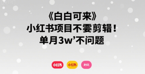 小白可来 小红书项目不需要剪辑 单月3w不是问题-旺仔资源库