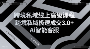 跨境私域线上高级课程，跨境私域极速成交3.0+Ai智能客服-旺仔资源库