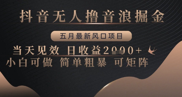 抖音无人撸音浪掘金，五月最新风口项目，当天见效，日收益多张，小白可做简单粗暴可矩阵【揭秘】-旺仔资源库