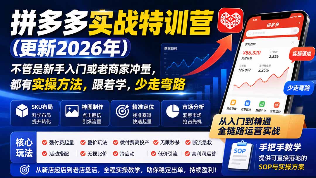 拼多多实战特训营(更新26年0831-旺仔资源库