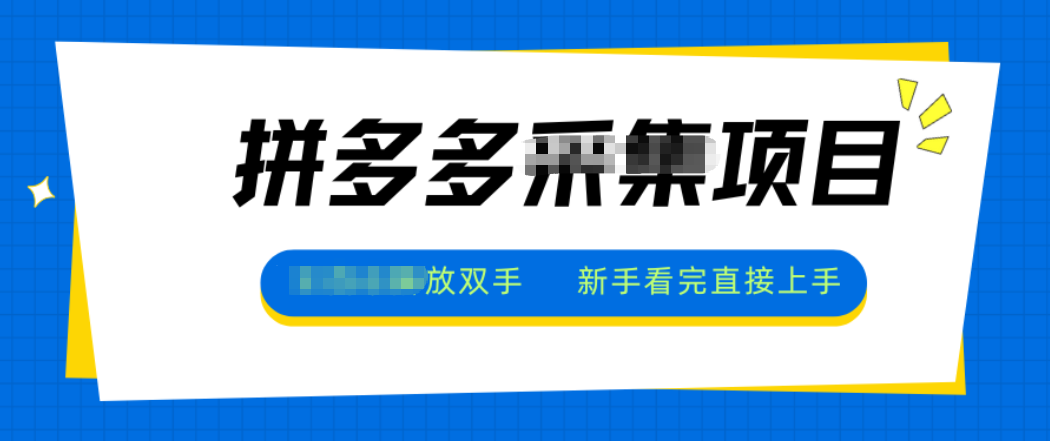 拼多多电商采集，一小时50+，操作简单，零投资-旺仔资源库