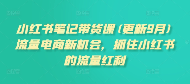 小红书笔记带货课(更新25年4月)流量电商新机会，抓住小红书的流量红利-旺仔资源库