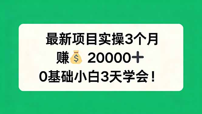 最新项目实操3个月，赚钱20000+，0基础小白3天学会！-旺仔资源库