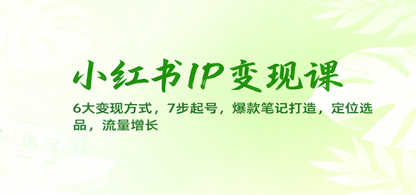 小红书IP变现课：6大变现方式，7步起号，爆款笔记打造，定位选品，流量增长-旺仔资源库
