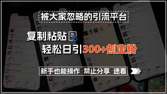 被大家忽略的引流平台，复制粘贴轻松日引300+创业粉，新手也能操作，禁…-旺仔资源库