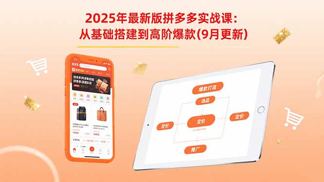 2025年最新版拼多多实战课：从基础搭建到高阶爆款(9月更新-旺仔资源库