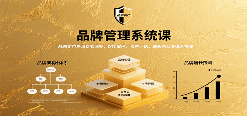 品牌管理系统课：战略定位与消费者洞察，DTC案例、资产评估，增长与公关体系搭建-旺仔资源库