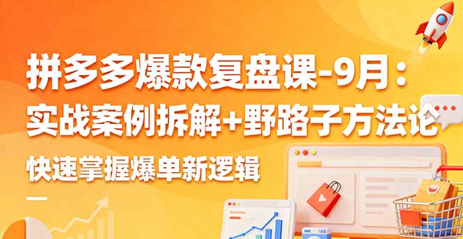 拼多多爆款复盘课-9月：实战案例拆解+野路子方法论，快速掌握爆单新逻辑-旺仔资源库