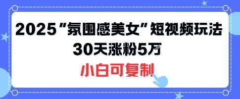 不露脸也能火！2025“氛围感美女”短视频玩法，30天涨粉5W小白可复制-旺仔资源库